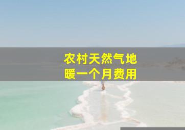 农村天然气地暖一个月费用