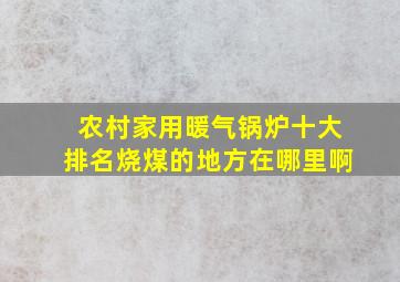 农村家用暖气锅炉十大排名烧煤的地方在哪里啊