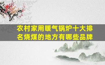 农村家用暖气锅炉十大排名烧煤的地方有哪些品牌