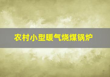 农村小型暖气烧煤锅炉