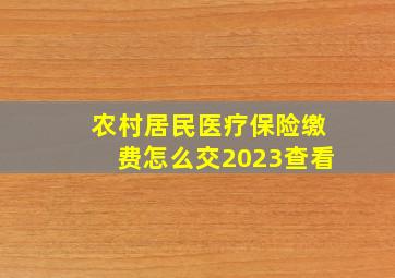 农村居民医疗保险缴费怎么交2023查看