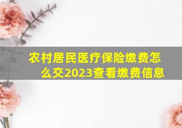 农村居民医疗保险缴费怎么交2023查看缴费信息