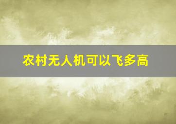 农村无人机可以飞多高