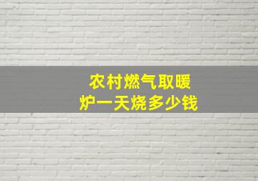 农村燃气取暖炉一天烧多少钱