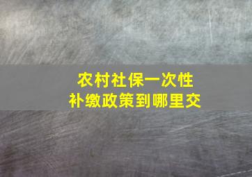 农村社保一次性补缴政策到哪里交