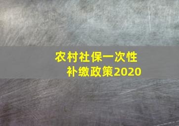 农村社保一次性补缴政策2020