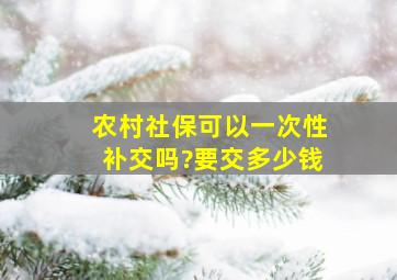 农村社保可以一次性补交吗?要交多少钱