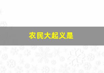 农民大起义是