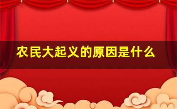 农民大起义的原因是什么