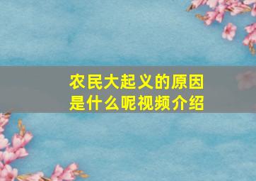 农民大起义的原因是什么呢视频介绍