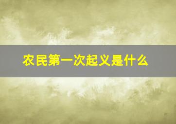 农民第一次起义是什么