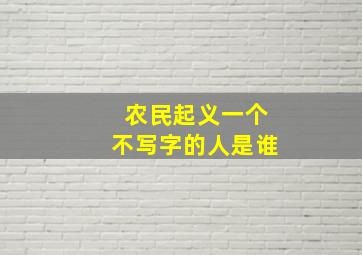 农民起义一个不写字的人是谁