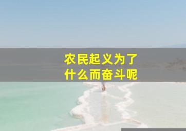 农民起义为了什么而奋斗呢