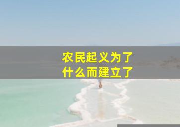 农民起义为了什么而建立了