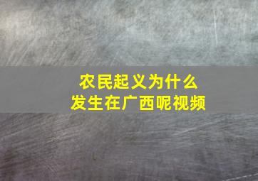 农民起义为什么发生在广西呢视频