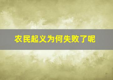 农民起义为何失败了呢