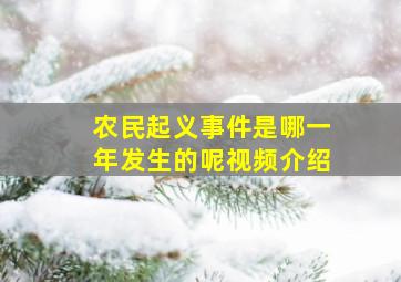 农民起义事件是哪一年发生的呢视频介绍