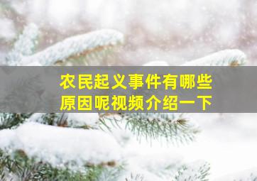 农民起义事件有哪些原因呢视频介绍一下