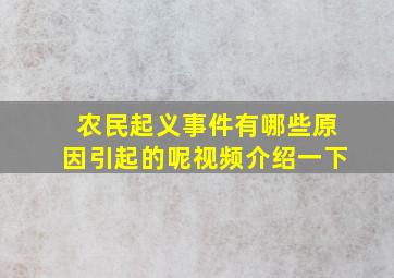 农民起义事件有哪些原因引起的呢视频介绍一下