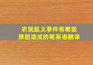 农民起义事件有哪些原因造成的呢英语翻译