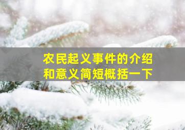 农民起义事件的介绍和意义简短概括一下