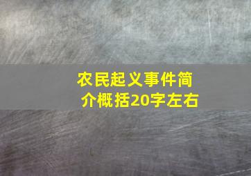 农民起义事件简介概括20字左右