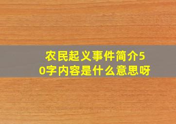 农民起义事件简介50字内容是什么意思呀