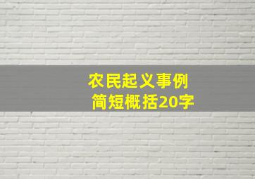 农民起义事例简短概括20字