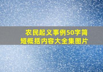 农民起义事例50字简短概括内容大全集图片