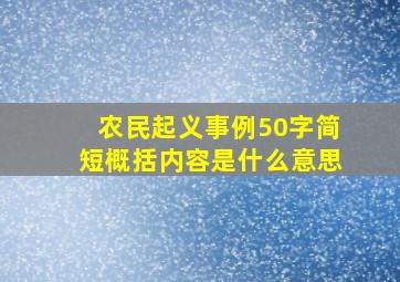 农民起义事例50字简短概括内容是什么意思