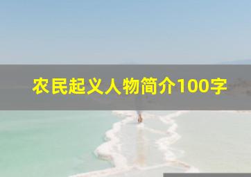 农民起义人物简介100字