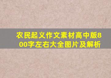 农民起义作文素材高中版800字左右大全图片及解析