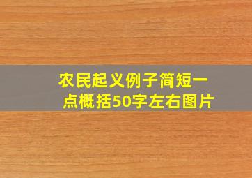 农民起义例子简短一点概括50字左右图片