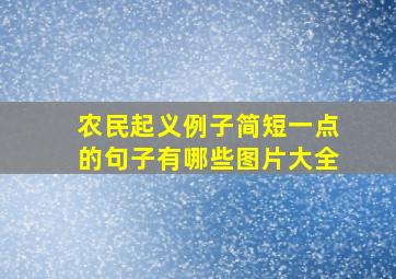 农民起义例子简短一点的句子有哪些图片大全