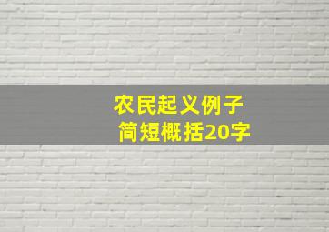 农民起义例子简短概括20字