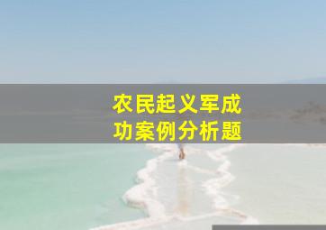 农民起义军成功案例分析题