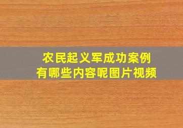 农民起义军成功案例有哪些内容呢图片视频