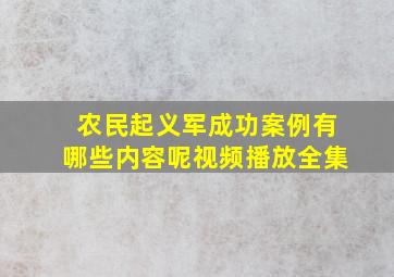 农民起义军成功案例有哪些内容呢视频播放全集