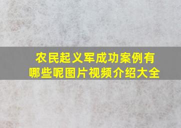 农民起义军成功案例有哪些呢图片视频介绍大全