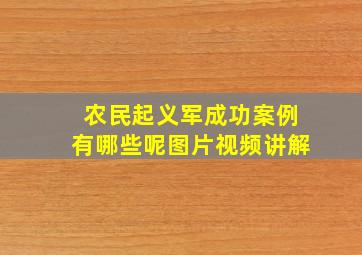 农民起义军成功案例有哪些呢图片视频讲解