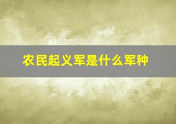 农民起义军是什么军种