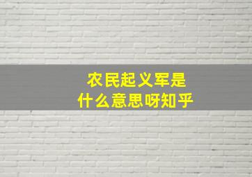 农民起义军是什么意思呀知乎