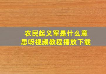 农民起义军是什么意思呀视频教程播放下载