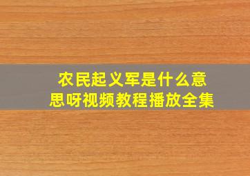 农民起义军是什么意思呀视频教程播放全集