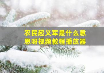 农民起义军是什么意思呀视频教程播放器