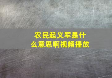 农民起义军是什么意思啊视频播放