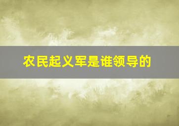 农民起义军是谁领导的