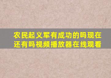 农民起义军有成功的吗现在还有吗视频播放器在线观看