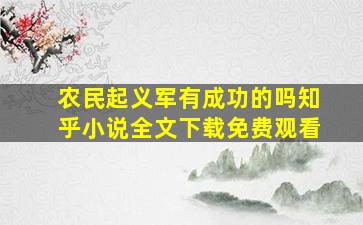 农民起义军有成功的吗知乎小说全文下载免费观看