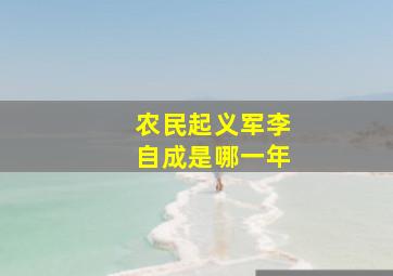 农民起义军李自成是哪一年